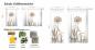 Preview: Schlaufenschal Vorhang Allium 24 - blanco Cappuccino - brau - viele Farben